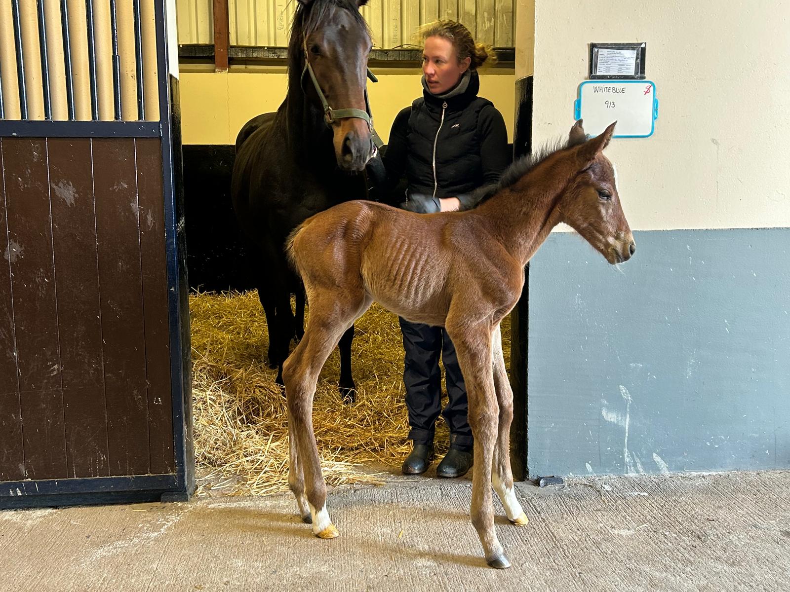 69be5f6c42884.jpg photo