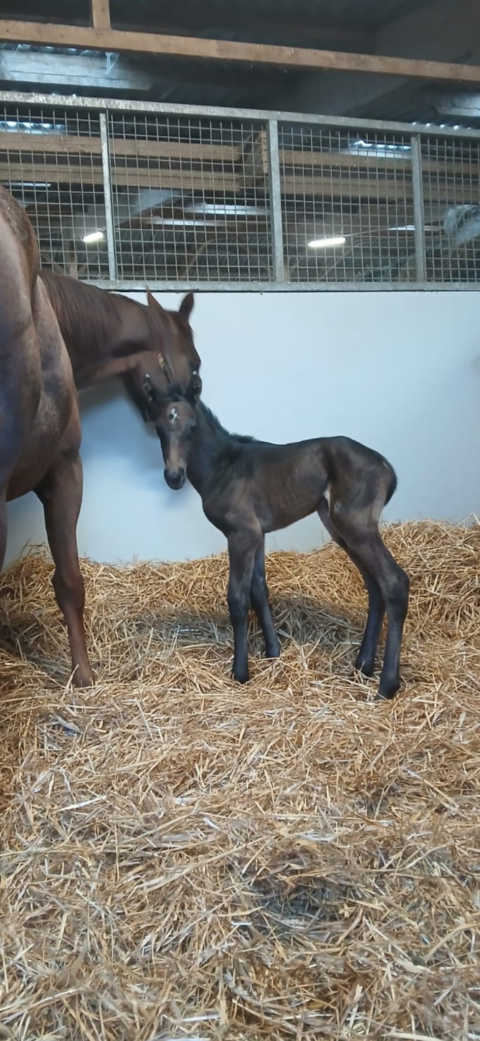 69cb56363f1bd.jpg photo