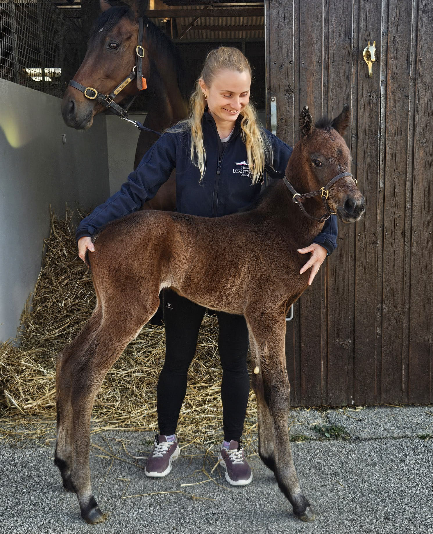 69d792706ad17.jpg photo