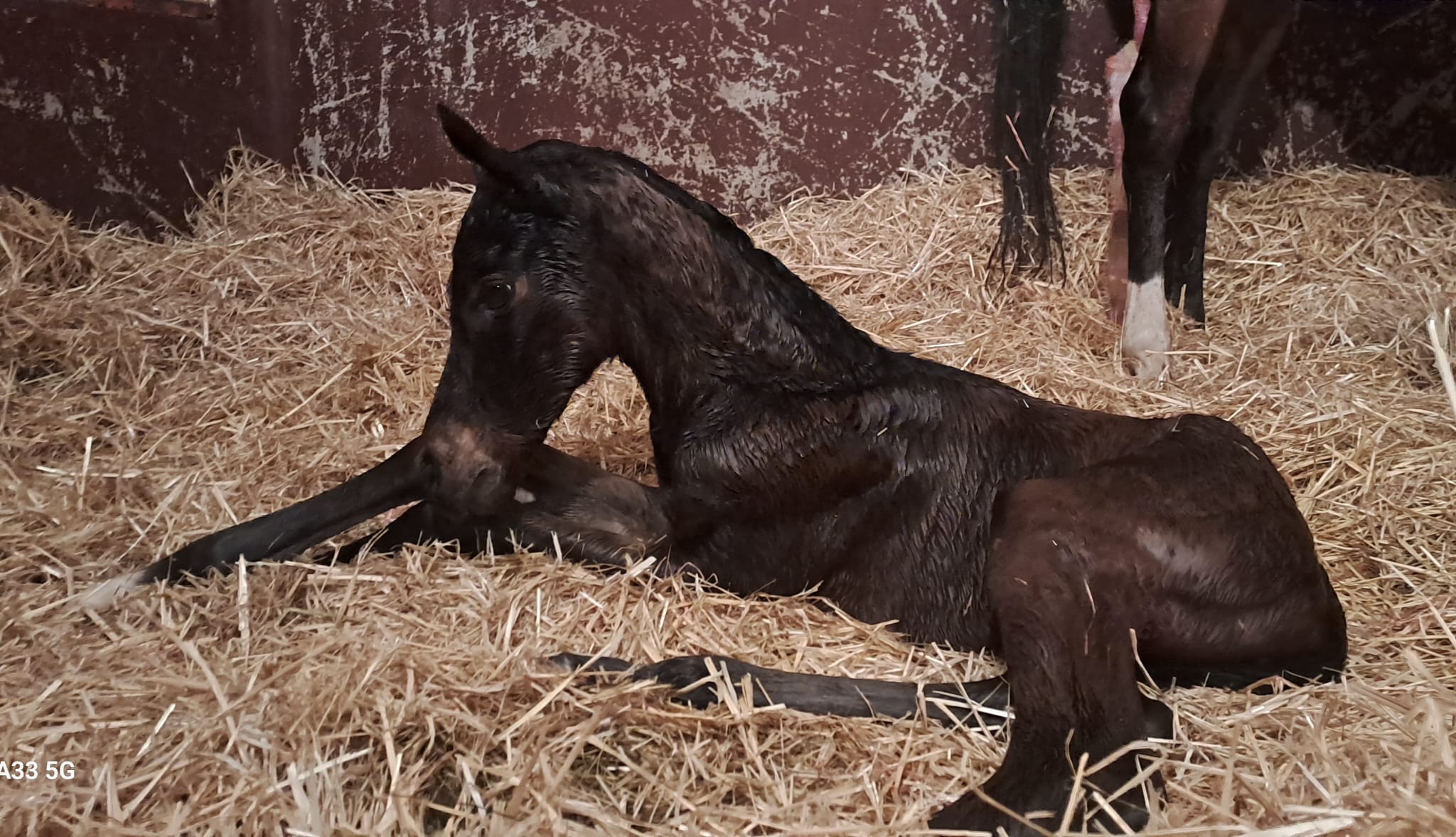 69f21b86b81a3.jpg photo