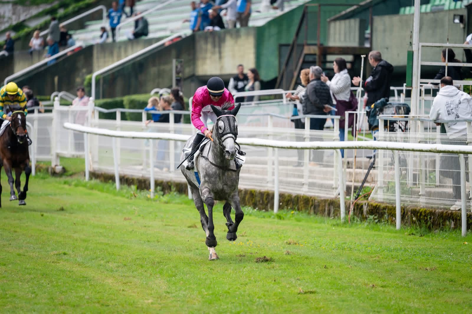 69f21debe1746.jpg photo